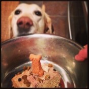 20130114-231640.jpg